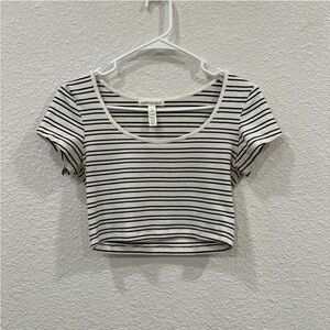 Ambiance White and Cream Fitted Crop Top